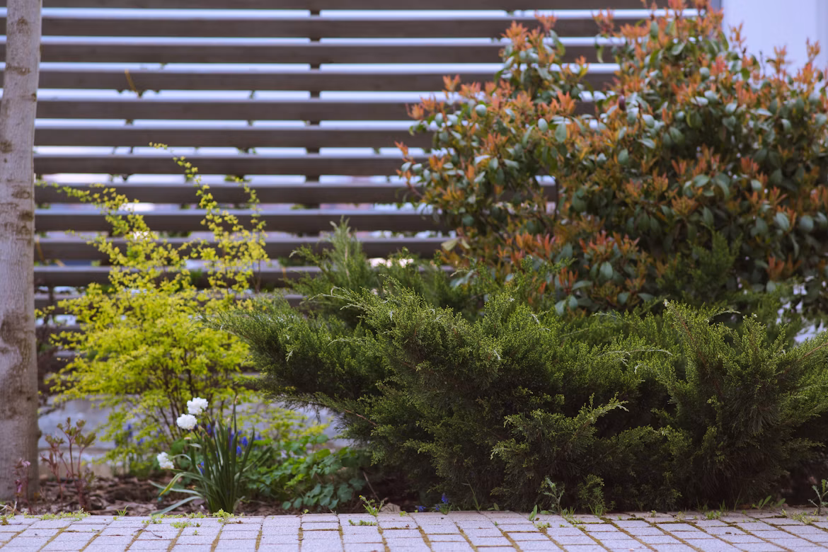 Meadow Walk garden redesign project