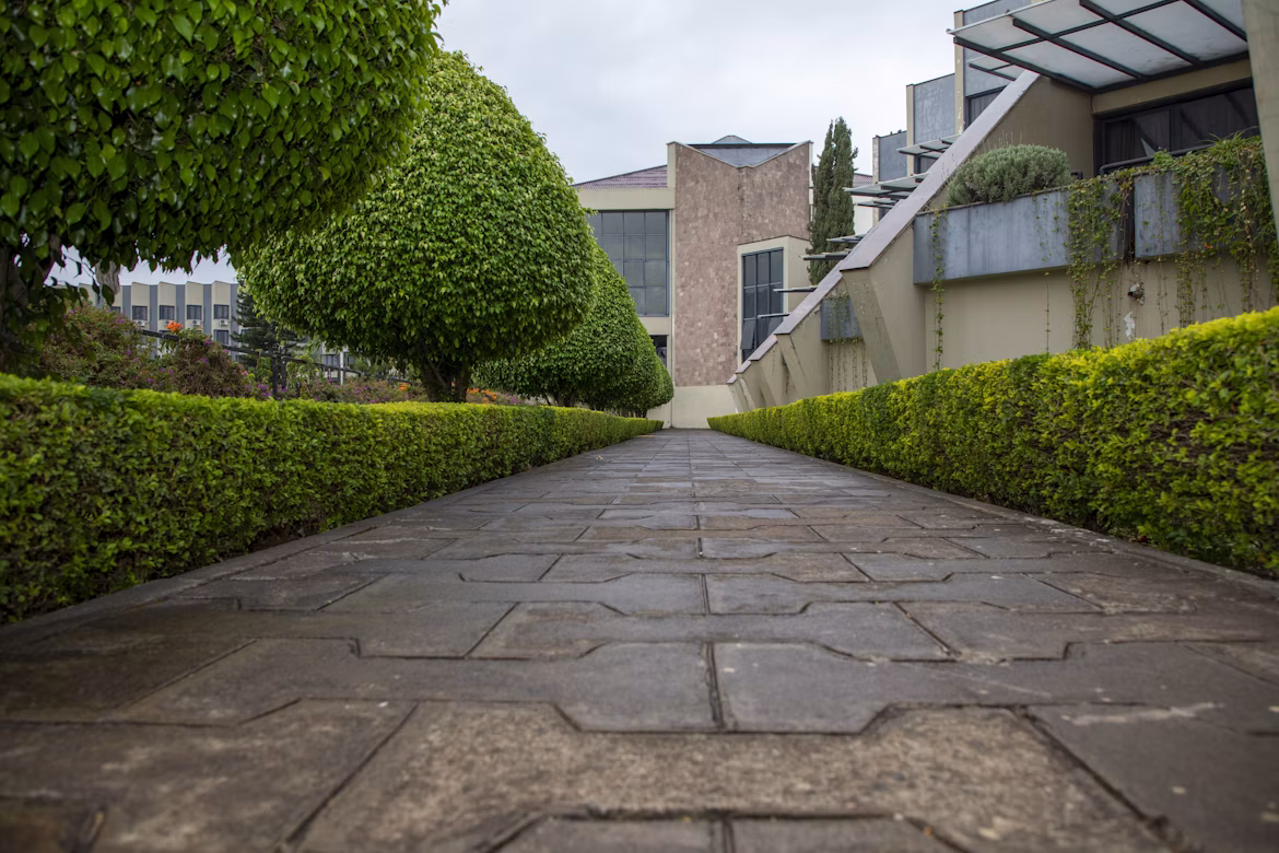 Stone Ridge hardscape and landscaping project